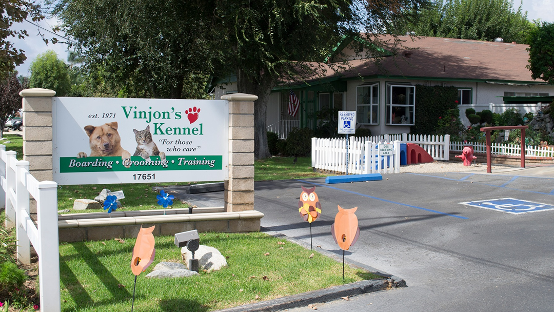 Pet Boarding, Daycare, Grooming, Training in Yorba Linda Vinjon's Kennel